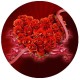 HeartR disc vafa trandafiri de Dragobete d20cm
